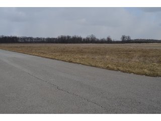Property photo 36 - 127 Acres Offered in 8 Tracts - Allen & Dekalb County Land